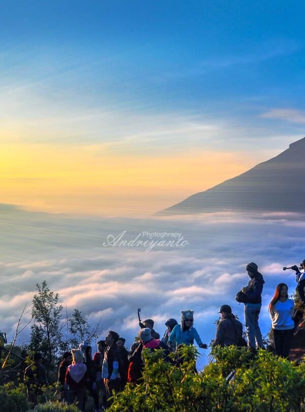 Negeri diatas awan - Paket Dieng Tour